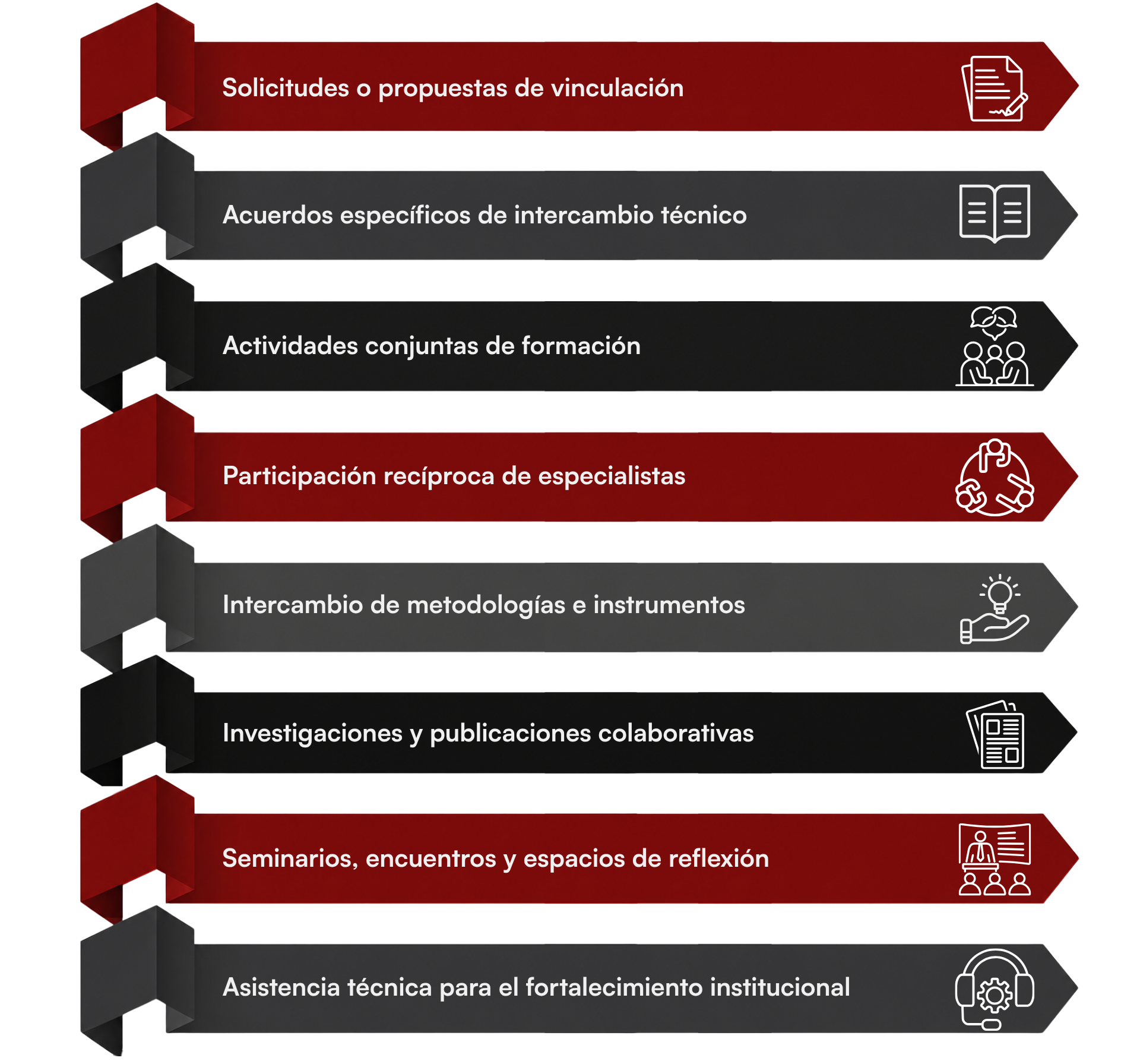 Mecanismos de cooperación: solicitudes y propuestas de vinculación, acuerdos específicos de intercambio técnico, actividades conjuntas de formación, participación recíproca de especialistas, intercambio de metodologías e instrumentos, investigaciones y publicaciones colaborativas, seminarios y espacios de reflexión, asistencia técnica para el fortalecimiento institucional.